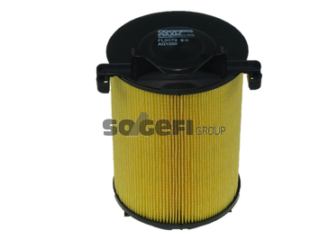 Filtru aer COOPERSFIAAM FL9073