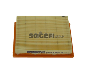 Filtru aer COOPERSFIAAM PA7167