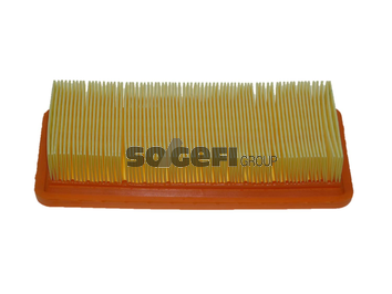 Filtru aer COOPERSFIAAM PA7421