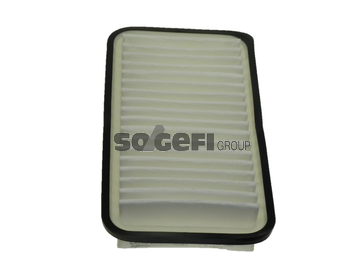 Filtru aer COOPERSFIAAM PA7438