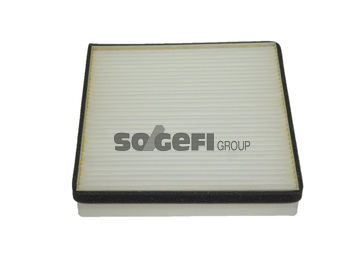 Filtru polen COOPERSFIAAM PC8046