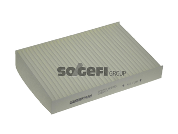 Filtru polen COOPERSFIAAM PC8059