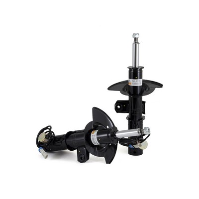 Amortizor ARNOTT SK-3843