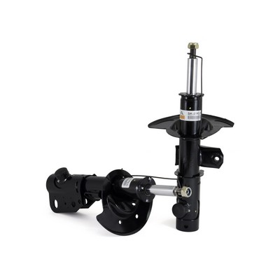 Amortizor ARNOTT SK-3842