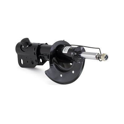 Amortizor ARNOTT SK-3842