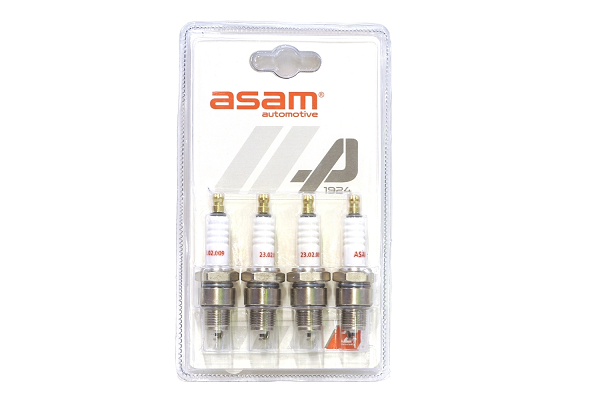 Bujie ASAM AUTOMOTIVE 01119