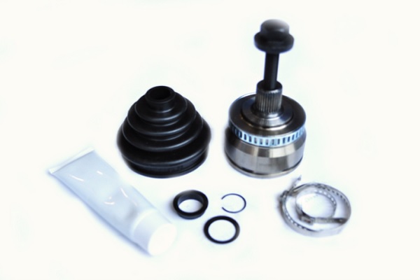 Cap planetara ASAM AUTOMOTIVE 55246