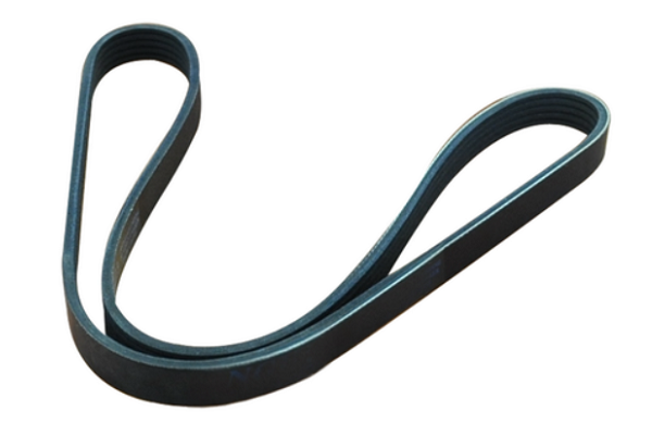 Curea transmisie cu caneluri ASAM AUTOMOTIVE 55992