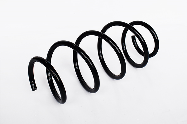 Arc spiral ASAM AUTOMOTIVE 73748