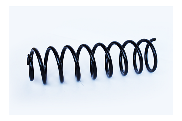 Arc spiral ASAM AUTOMOTIVE 73768