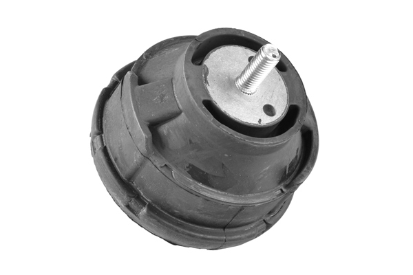 Suport motor BMW Seria 3 (E46) 320 d  diesel 136 cai TEDGUM 00080630