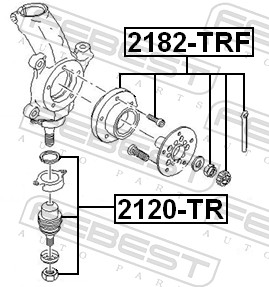 Pivot FEBEST 2120-TR