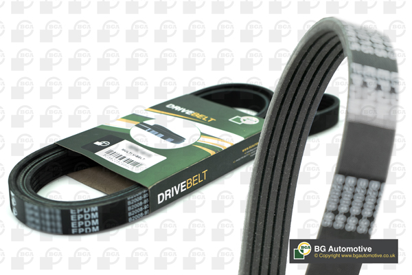 Curea transmisie cu caneluri BGA 5PK1256