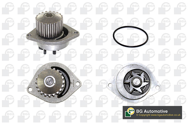 Pompa de apa BGA CP2838