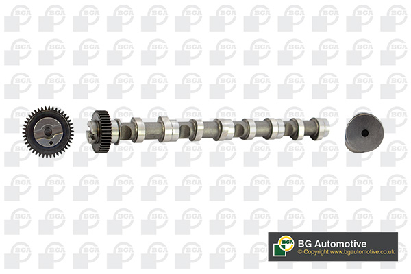 Ax cu came SKODA FABIA II (542) 1.6 TDI  diesel 75 cai BGA CS9611