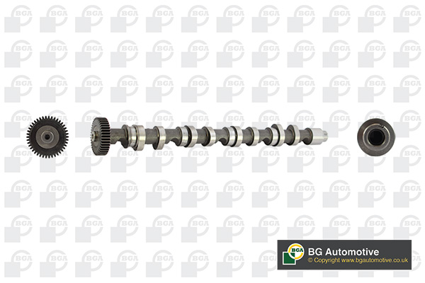 Ax cu came SKODA FABIA II (542) 1.6 TDI  diesel 75 cai BGA CS9612