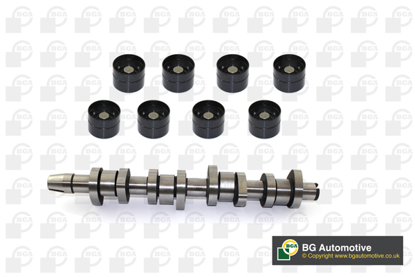 Set ax cu came VW PASSAT B5.5 (3B3) 1.9 TDI  diesel 130 cai BGA CS9901K