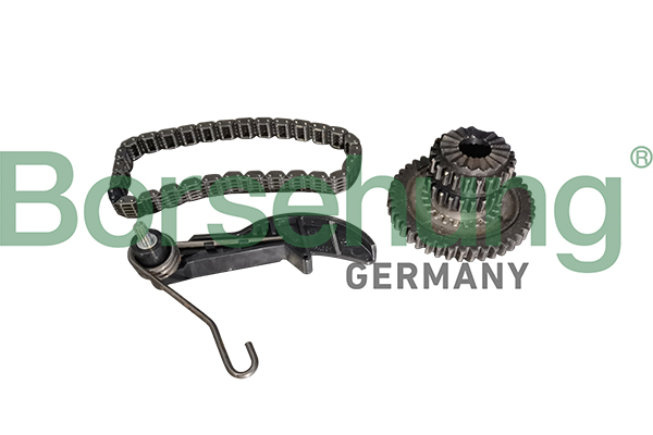 Kit lant de distributie BORSEHUNG B10218