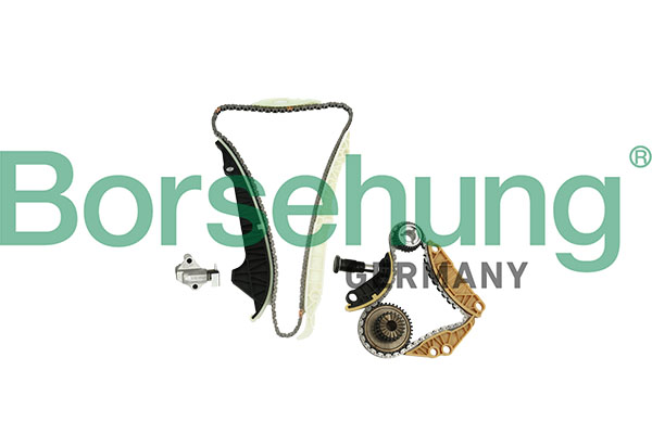 Kit lant de distributie BORSEHUNG B10220