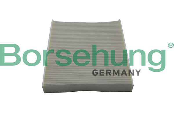 Filtru polen BORSEHUNG B10514