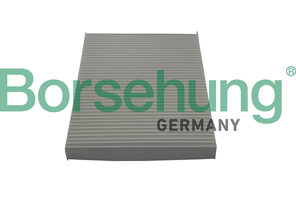 Filtru polen BORSEHUNG B10515