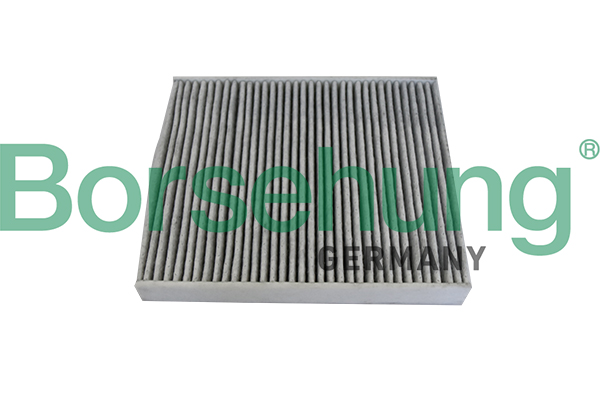 Filtru polen BORSEHUNG B10534