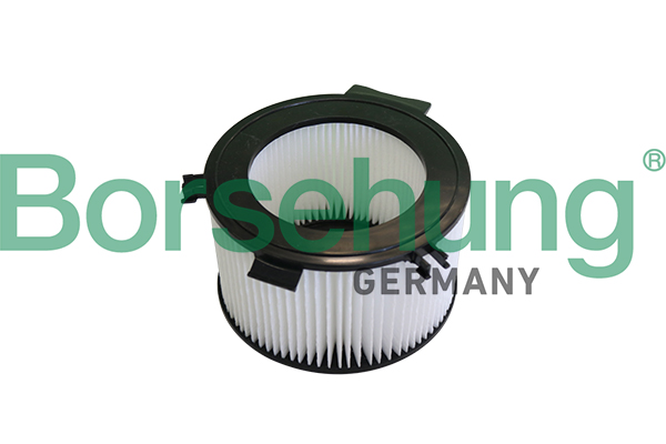 Filtru polen BORSEHUNG B10549