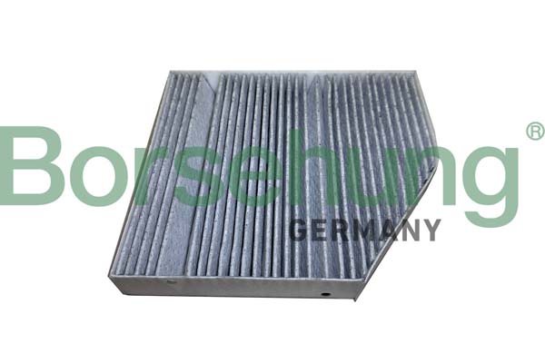 Filtru polen BORSEHUNG B12449