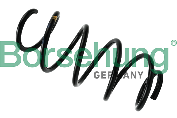 Arc spiral VW GOLF V (1K1) 1.9 TDI  diesel 105 cai BORSEHUNG B12621