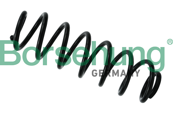 Arc spiral VW GOLF V (1K1) 1.9 TDI  diesel 105 cai BORSEHUNG B12624