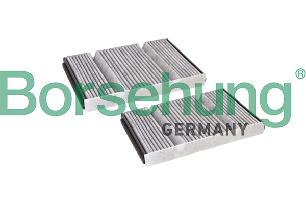 Filtru polen BORSEHUNG B12851
