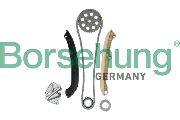 Kit lant de distributie BORSEHUNG B16294