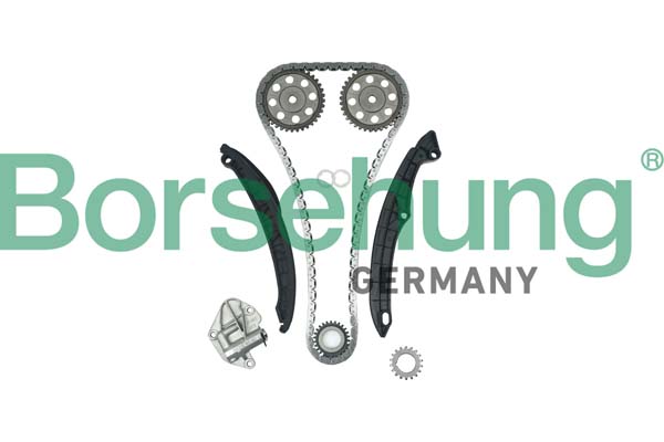 Kit lant de distributie BORSEHUNG B16296
