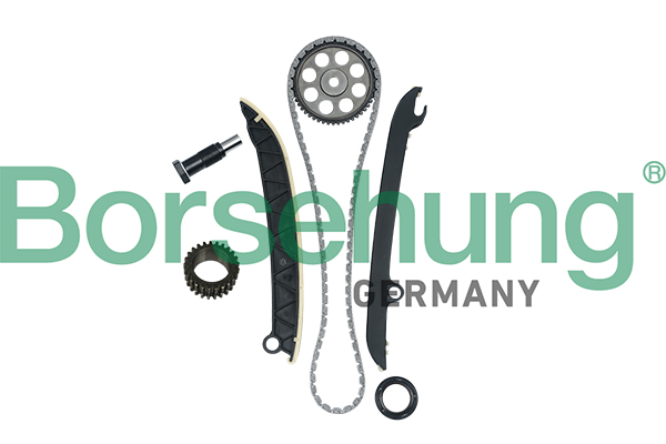 Kit lant de distributie BORSEHUNG B16297