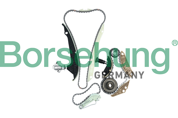 Kit lant de distributie BORSEHUNG B16298