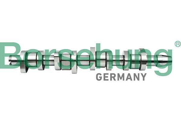 Ax cu came VW PASSAT B5.5 (3B3) 1.9 TDI  diesel 130 cai BORSEHUNG B17861