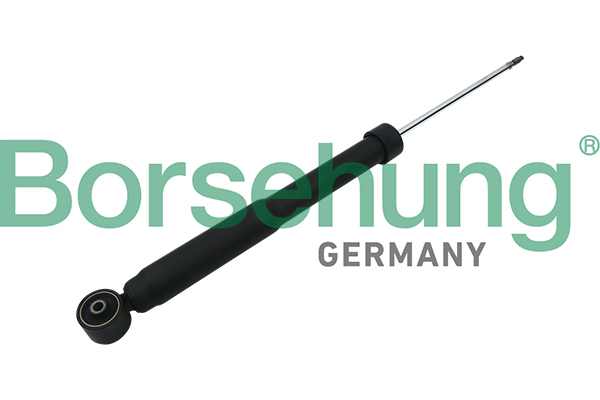 Amortizor BORSEHUNG B17895