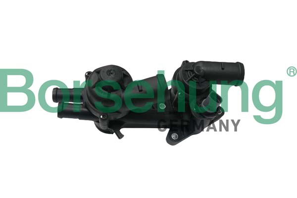 Termostat lichid racire BORSEHUNG B18249