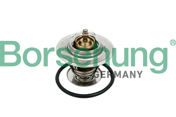 Termostat lichid racire VW TOURAN (1T1, 1T2) 1.9 TDI  diesel 105 cai BORSEHUNG B18259