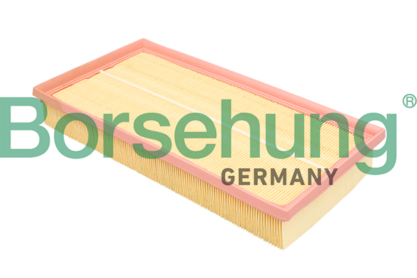 Filtru aer BORSEHUNG B18293