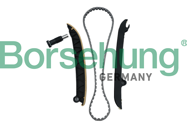 Kit lant de distributie BORSEHUNG B18296