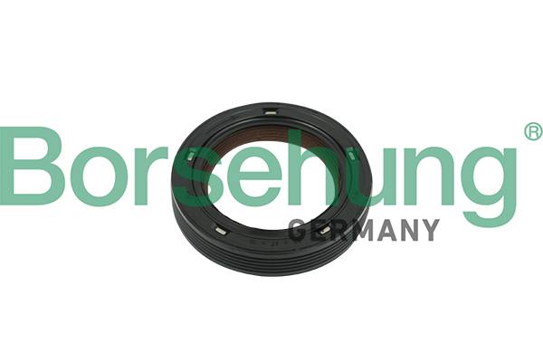 Simering ax cu came VW PASSAT B5.5 (3B3) 1.9 TDI  diesel 130 cai BORSEHUNG B18729