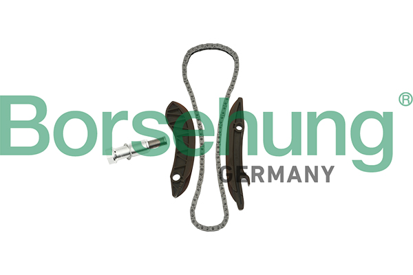 Kit lant de distributie BORSEHUNG B18852