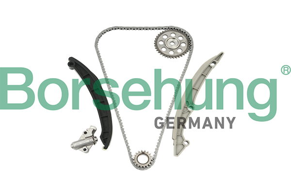 Kit lant de distributie BORSEHUNG B18960