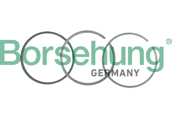 Set segmenti piston VW GOLF IV (1J1) 1.4 16V  benzina 75 cai BORSEHUNG B19037