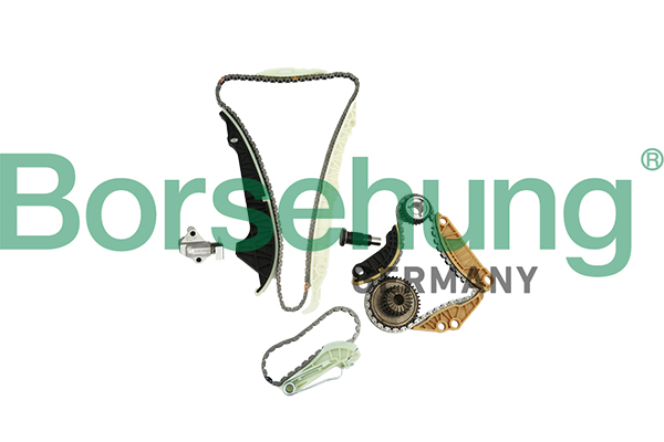 Kit lant de distributie BORSEHUNG B19254