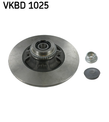Disc frana SKF VKBD 1025