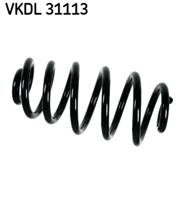 Arc spiral SKF VKDL 31113
