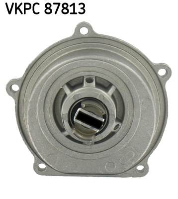 Pompa de apa SKF VKPC 87813
