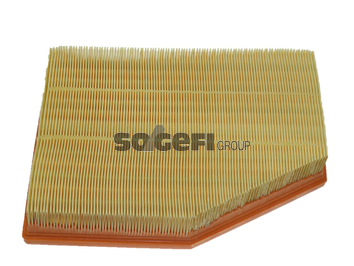 Filtru aer FRAM CA10022